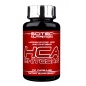  Scitec Nutrition HCA Chitosan 100 