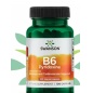  Swanson Vitamin B6 100 mcg 100 