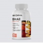 Антиоксидант ENDORPHIN DMAE 60 капсул